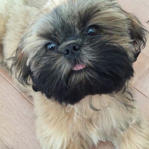 Meet your Posher, Sabrina